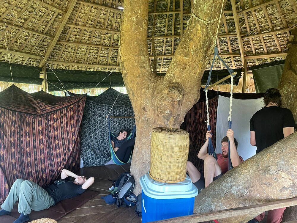 A treehouse with mosquito nets setup in Laos.