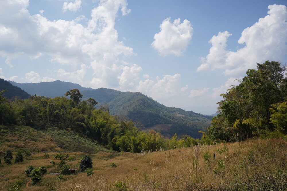 Mountains from our hike in Chiang Dao.