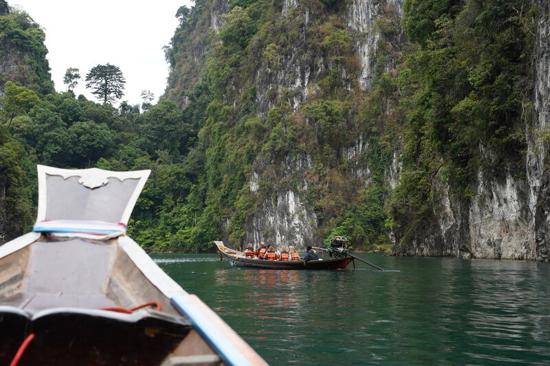 A photo of a limestone karst in Khao Sok National Park.